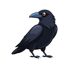 Fototapeta premium crow on a white background