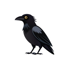 Fototapeta premium crow on a white background