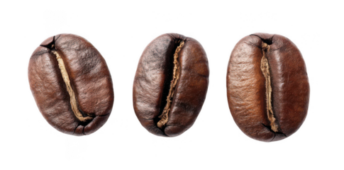 3 coffee beans isolated on a white background, png