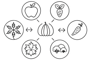 Visual Guide to Seasonal Crop Rotations