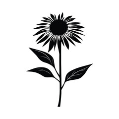 Fototapeta premium Creating Striking Vector Black-Eyed Susan Graphics: Designing Elegant Floral Silhouettes for Botanical Illustrations. 