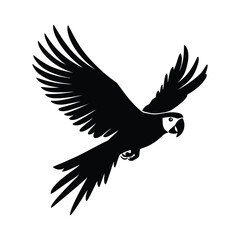 Creating Majestic Vector Parrot Graphics: Designing Detailed Tropical Bird Illustrations with Spread Wings.
