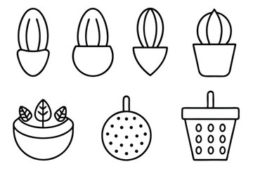 Seed Growth Stages Graphic