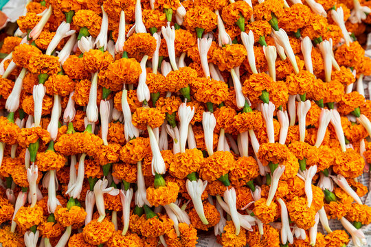 India, West Bengal, Kolkata, Jorasanko. Marigolds for sale.