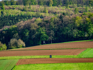 Obraz premium Hoch ud Jägersitz im Frühjahr