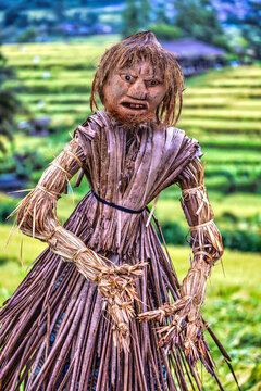 Jatiluwih Rice Terrace is a stunning UNESCO Site, located in the Tabanan Regency of Bali, Indonesia