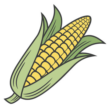 recommend clip art: Fresh Yellow Ear of Corn with Green Husk Leaves.