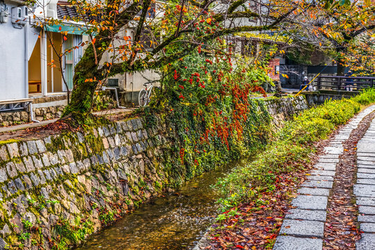 Colorful foliage, Philosopher's Walk, Kyoto, Japan. Walk passes by famous temples.