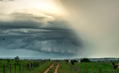 Storm clouds, dark sky, dark clouds