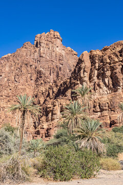 Saudi Arabia, Tabuk, Prince Mohammed bin Salman Natural Reserve. Wadi Al Disah.