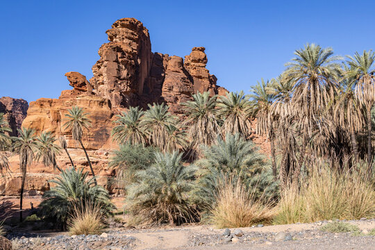 Saudi Arabia, Tabuk, Prince Mohammed bin Salman Natural Reserve. Wadi Al Disah.