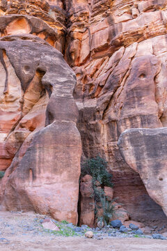 Saudi Arabia, Tabuk, Prince Mohammed bin Salman Natural Reserve. Wadi Al Disah.