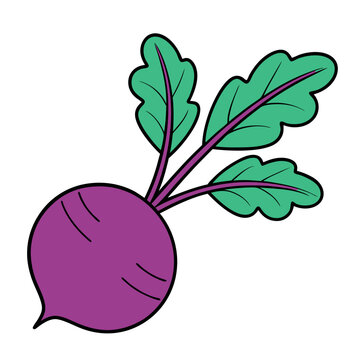 recommend clip art: Fresh Purple Beetroot with Green Leaves: Healthy Root Vegetable.