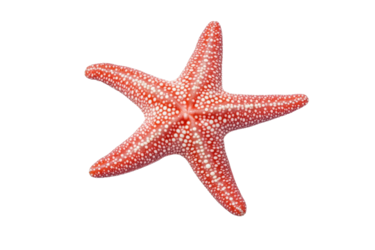 Red starfish with white spots on its body, isolated - Powered by Adobe