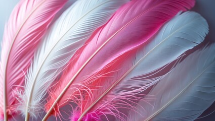 Fototapeta premium The Texture of Feathers