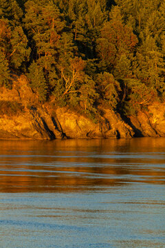 Helen Point shoreline, Mayne Island, British Columbia, Gulf Islands, British Columbia, Canada