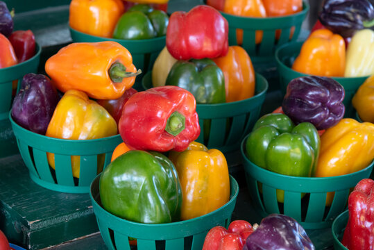 Jean-Talon Market, large public market in Little Italy section of Montreal. colored peppers