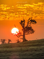 
Amazing sunset, yellow and red clouds