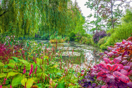 Giverny, France. Landscape view of Claude Monet's Japanese water gardens in the village of Giverny.
