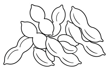 Soybean Varieties Displayed Neatly