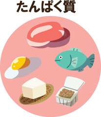 たんぱく質　線なし