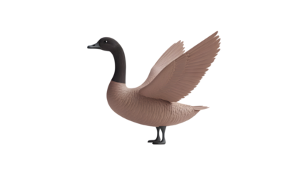 A bird with outstretched wings showcasing detailed feathers and natural posture for wildlife