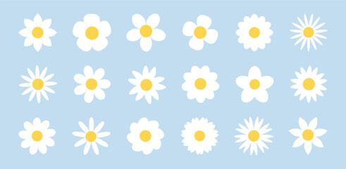 Camomile flower set. Minimal daisy collection on soft blue background. Simple floral vector elements. Clean and delicate design for spring and summer nature themes. © Hanna Bykova