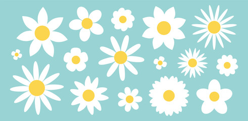 Obraz premium Set of white camomile flowers. Flat botanical illustration. Simple spring floral collection. Cute minimalist daisies. Vector isolated on mint background.