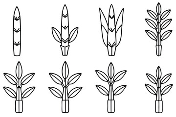 Hand Drawn Sugar Beet Graphics Pack