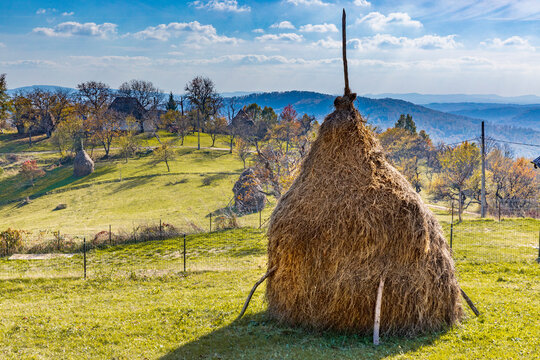 Romania, Transylvania, Aspra Traditional hay stacks.