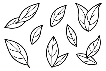 Organic Tea Leaves Vector Icons