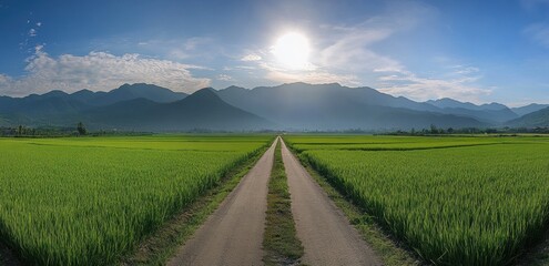 Fototapeta premium Country Road Through Lush Fields, Mountains in the Distance