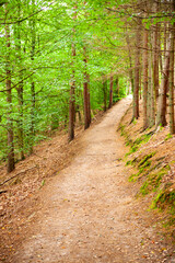 Walking trail to Ladonia, Kullaberg, Skane County, Sweden