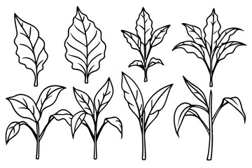 Tobacco Crop Elements Set