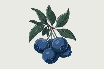 Vector illustration of a bunch of blueberries hanging on a branch