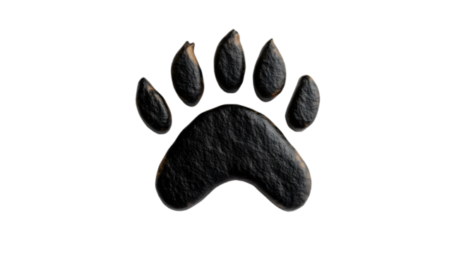 Creative Animal Footprint Design with Textured Seeds Unique Nature Inspired Artwork for Variou