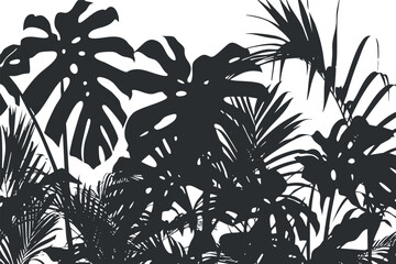 Silhouette of tropical plants and leaves creating a lush and vibrant backdrop for design purposes.