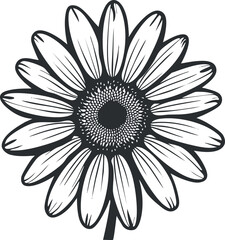A detailed black and white illustration of a daisy flower with intricate petal designs.