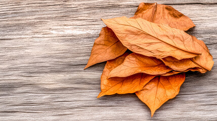 Dried tobacco leaves resting on rustic wooden surface