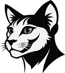 Black and White Cat Face Profile Feline Portrait with Detailed Whiskers.