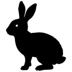 cute rabbit isolated on white background