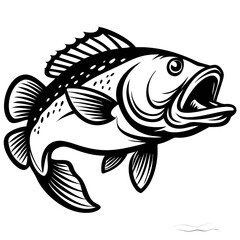 Large mouth bass fish isolated on white background