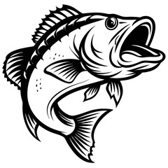 Large mouth bass fish isolated on white background