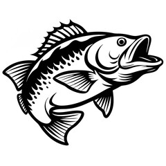 Large mouth bass fish isolated on white background