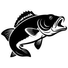 Large mouth bass fish isolated on white background