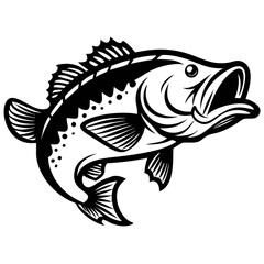 Large mouth bass fish isolated on white background