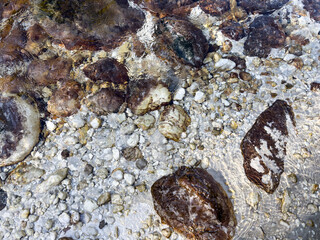 top view of crystal clear river water flowing over white sand and brown stones. natural light, clean texture, transparency. minimalist