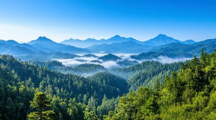 Fototapeta premium Serene Panoramic View of Lush Green Mountains and Misty Valleys