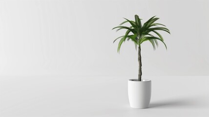 Obraz premium Photorealistic image of a ceramic planter box with removable liner on a white background