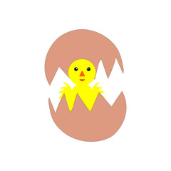 Yellow chick hatchling. Broken eggshell shape. Cute vector bird. Cartoon spring character.